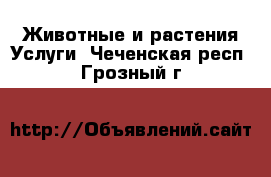 Животные и растения Услуги. Чеченская респ.,Грозный г.